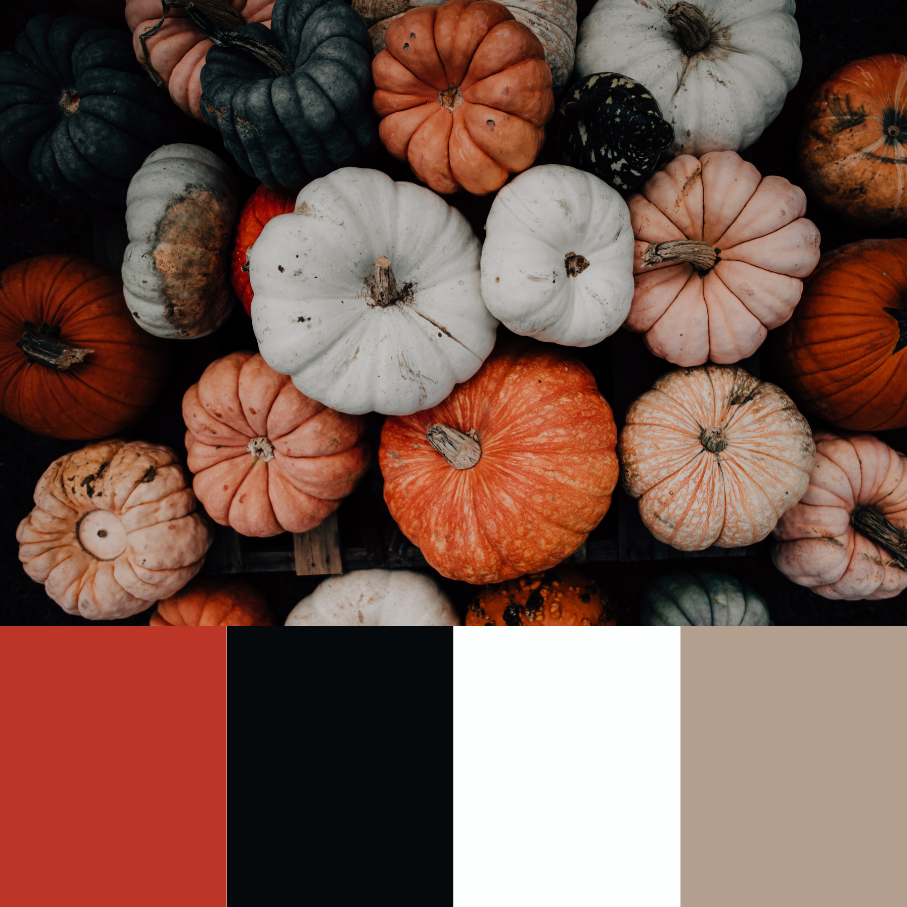 VBPen Bundle | Hey Pumpkin