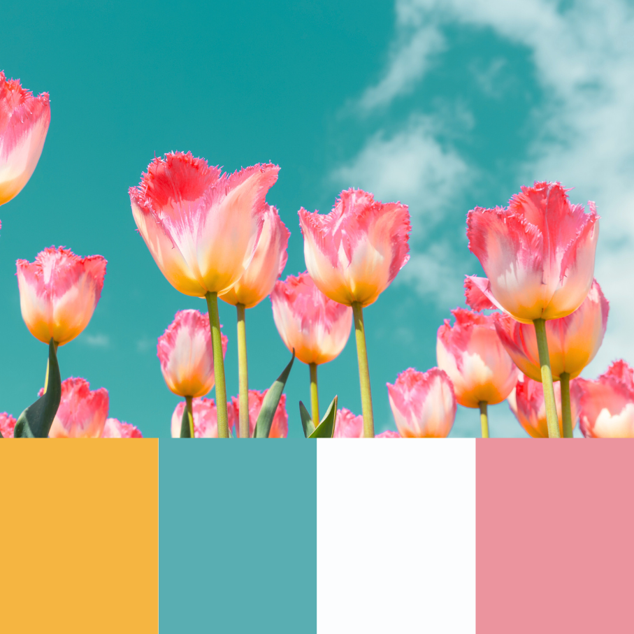 VBPen Bundle | Tulip Time