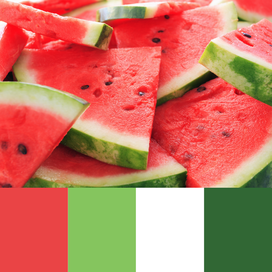 VBPen Bundle | Watermelon IMPERFECT